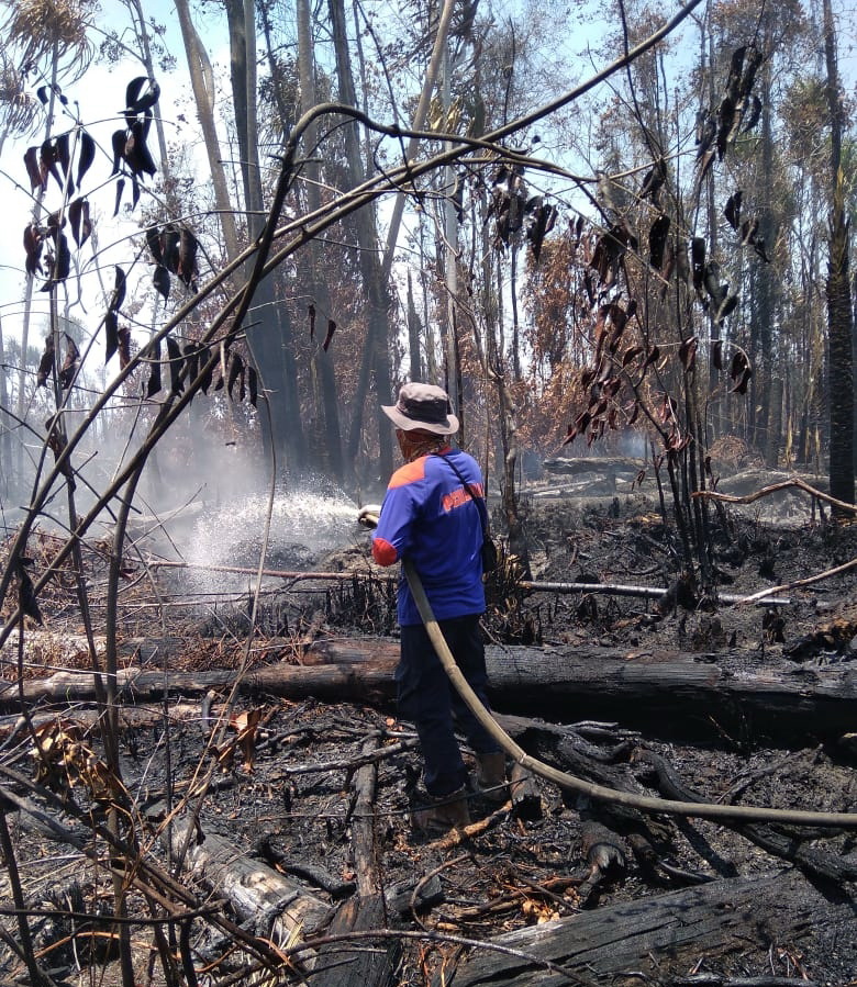 Hujan Guyur Kota Bengkalis, Dandim: Titik Karhutla Sudah Mulai Padam